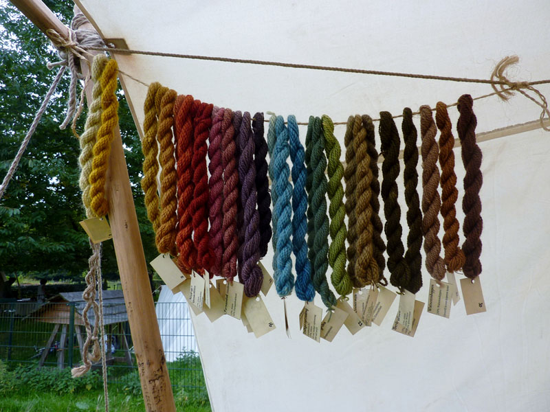 Cees Heijdel - fotoboek-archief/28_sibbe muninn 2013.JPG